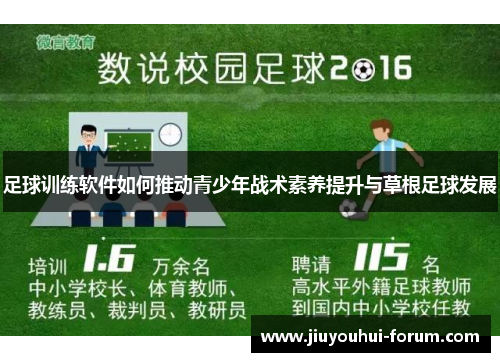 足球训练软件如何推动青少年战术素养提升与草根足球发展
